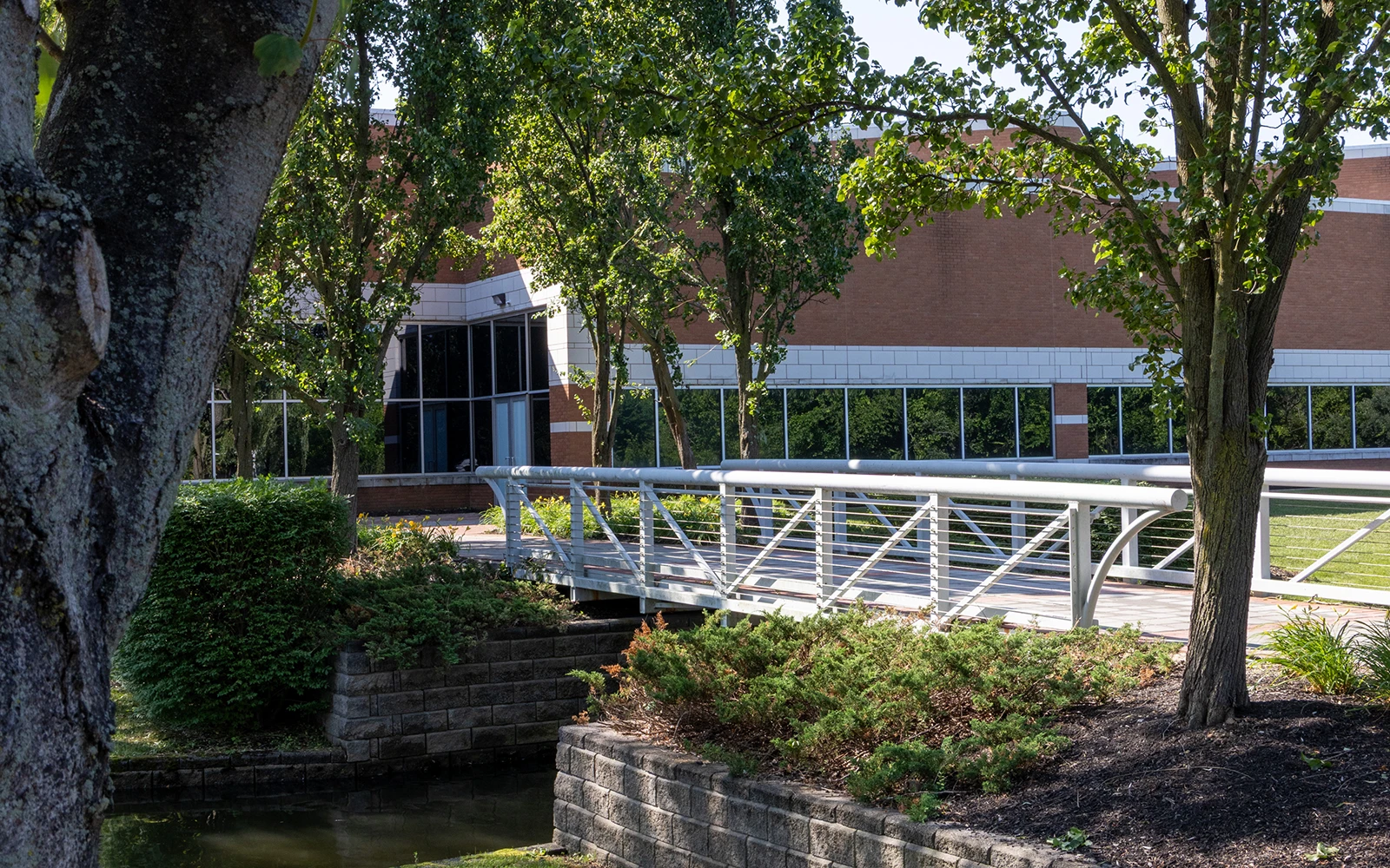 Shaded garden path with footbridge approaching office building at Cedar Brook Cranbury