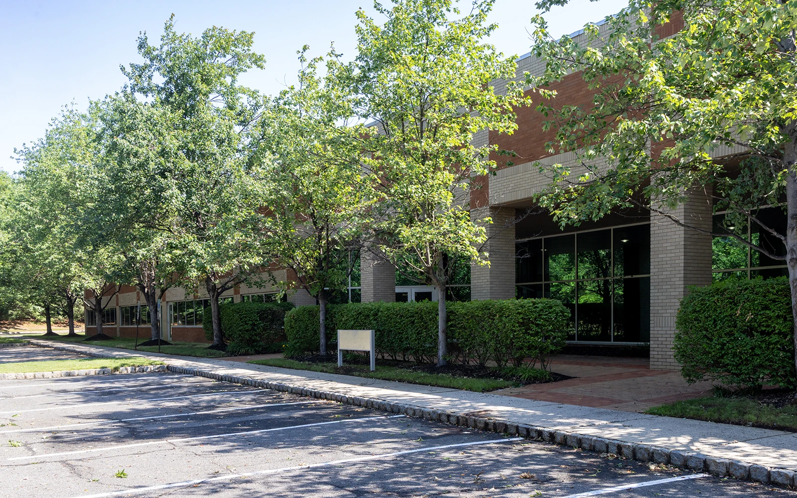 Shady outdoor parking lot in a corporate campus in New Jersey