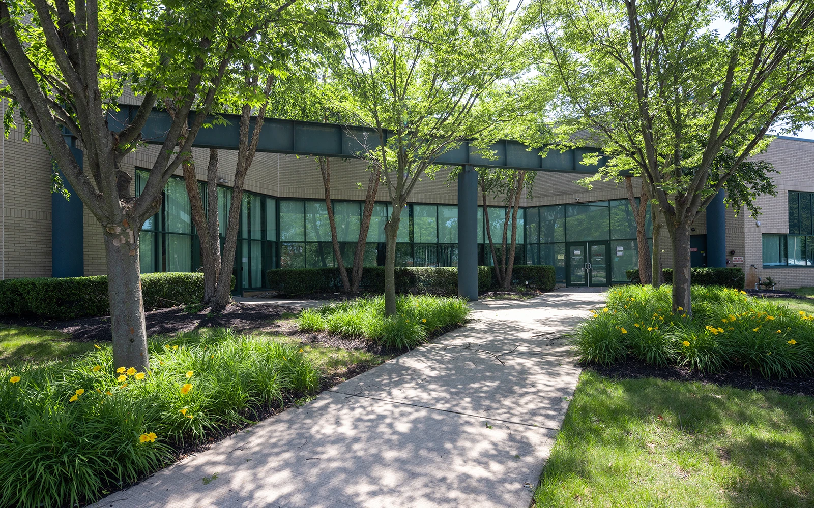 Professional business campus entrance surrounded by trees sidewalk greenery and modern office windows