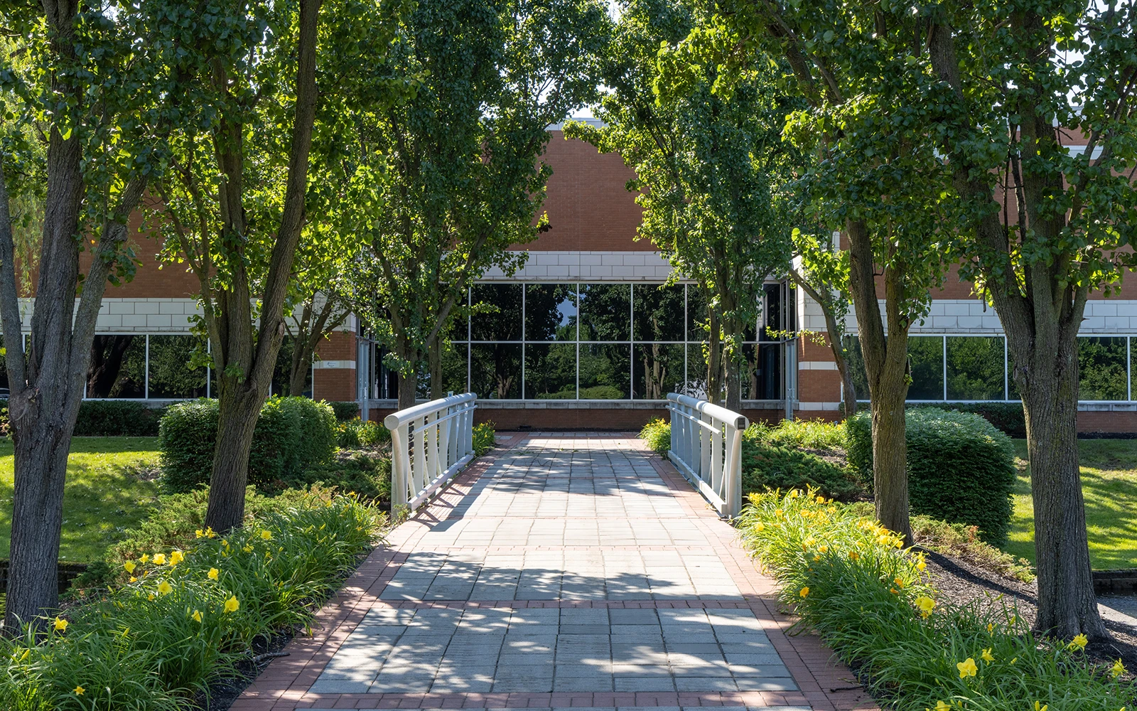 Landscaped walkway with small bridge and trees in Cedar Brook corporate center