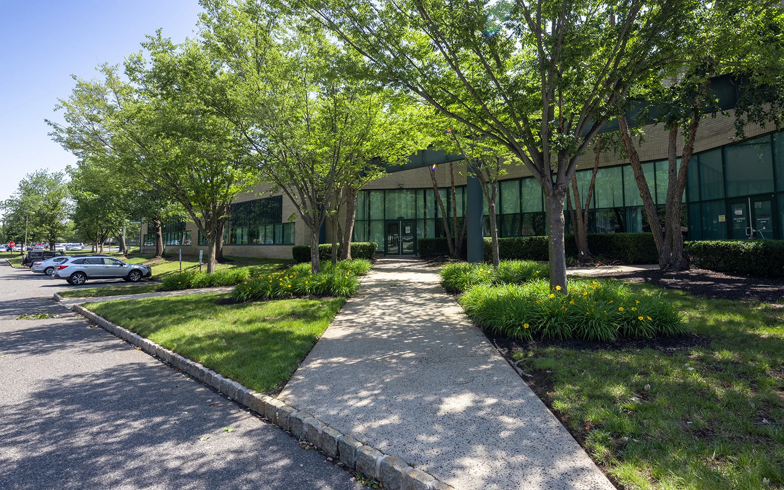 Office building exterior with tree lined walkway landscaped lawn parking area and glass windows