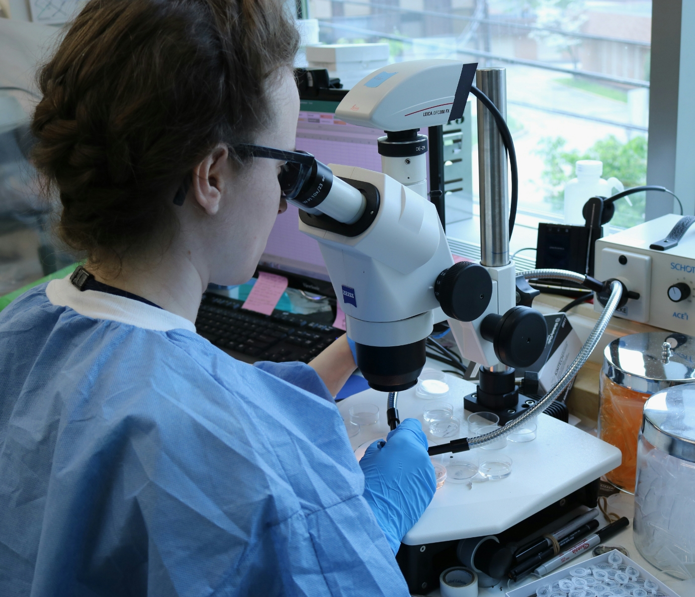 Biomedical researcher examining specimens under microscope inside modern life sciences laboratory facility