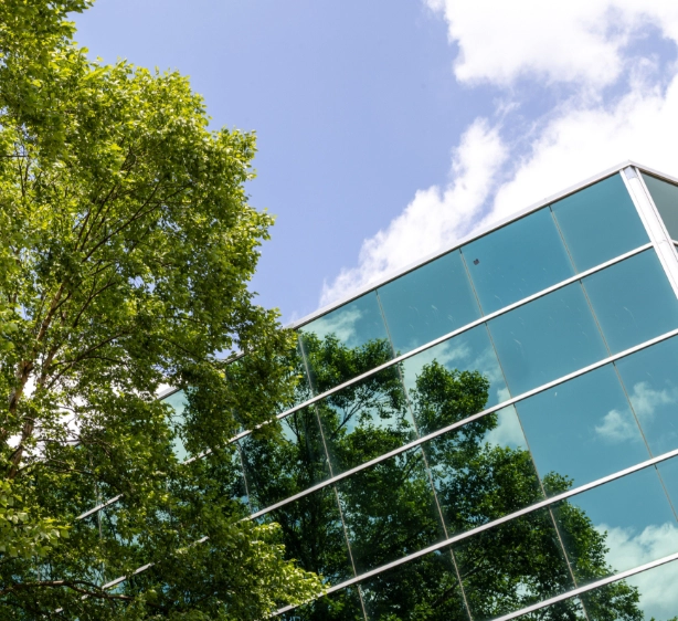 Sidewalk view of a glass building facade under a blue sky