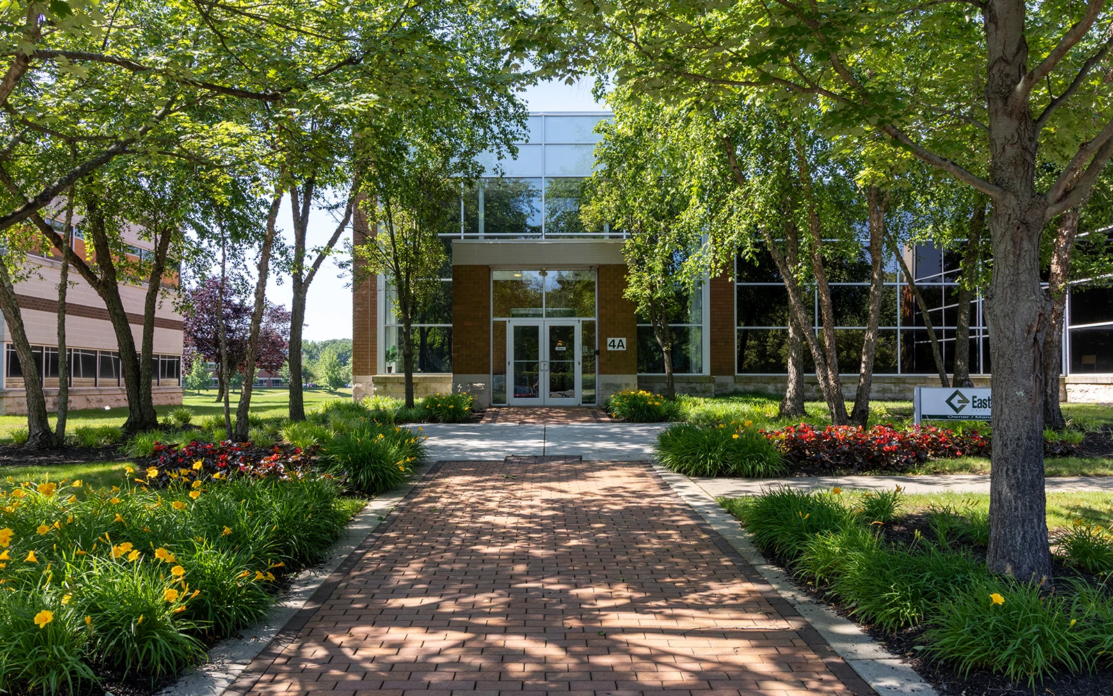 A shady walkway through a manicured corporate campus